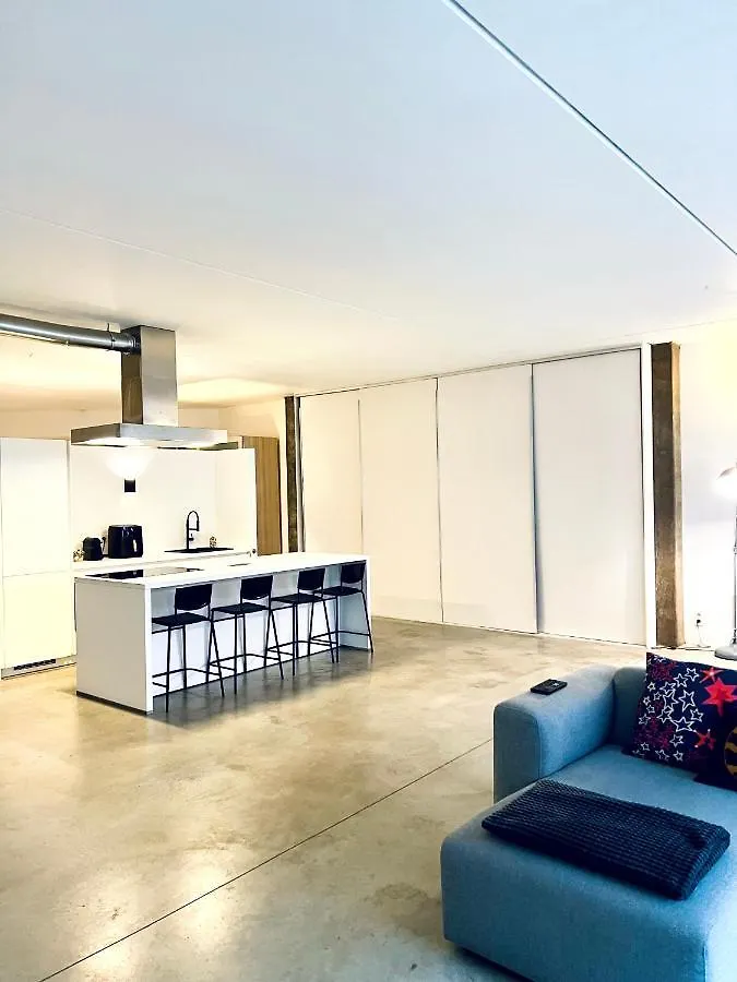Loft Eilandje Apartment Antwerp
