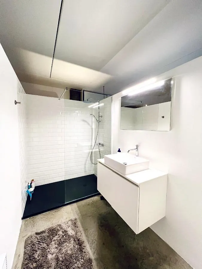 Loft Eilandje Apartment Antwerp