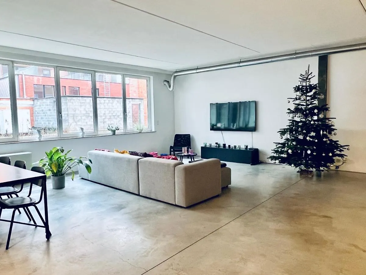 Loft Eilandje Apartment Antwerp